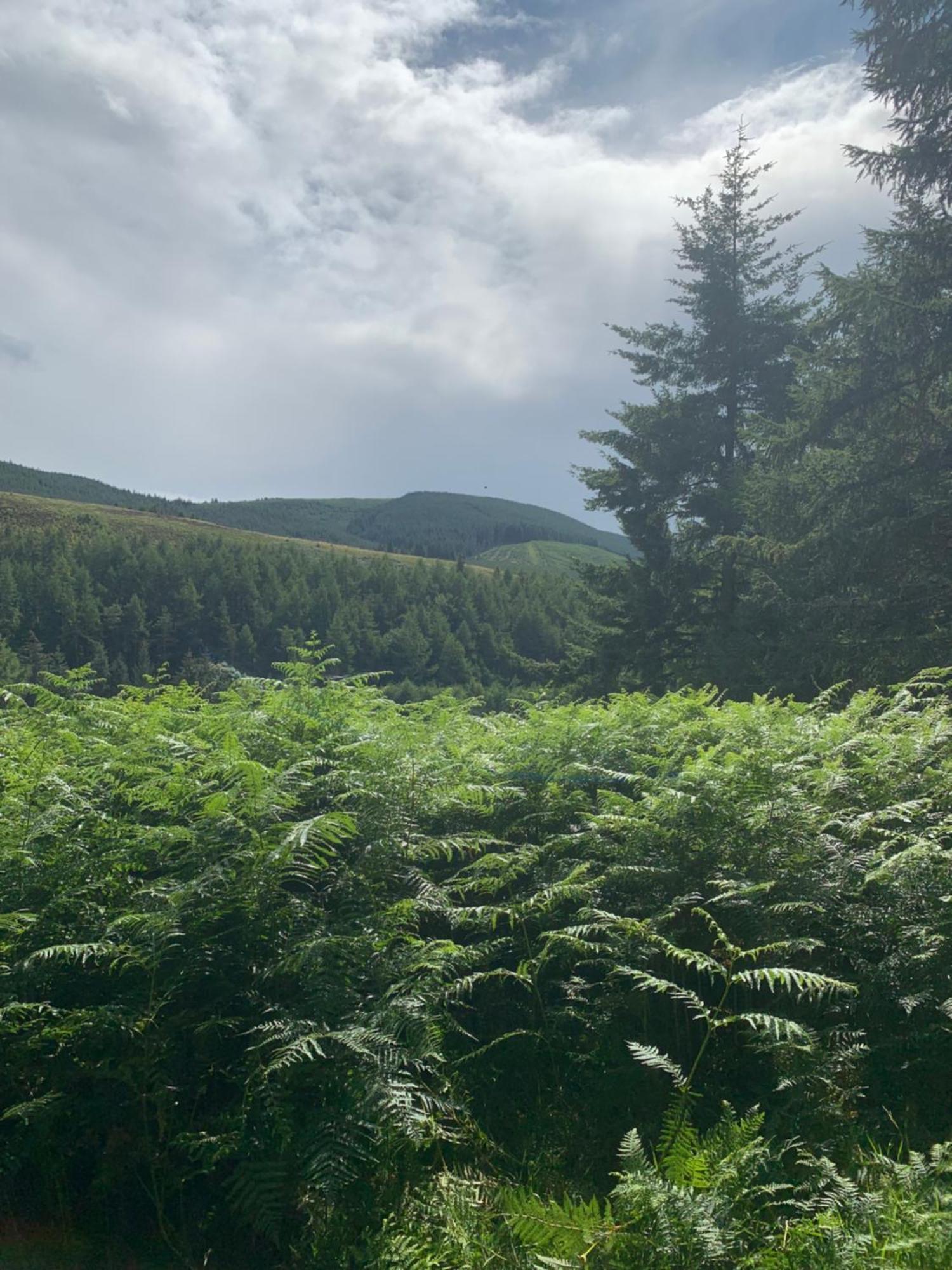 Corrie Lodge, Glendevon Екстериор снимка